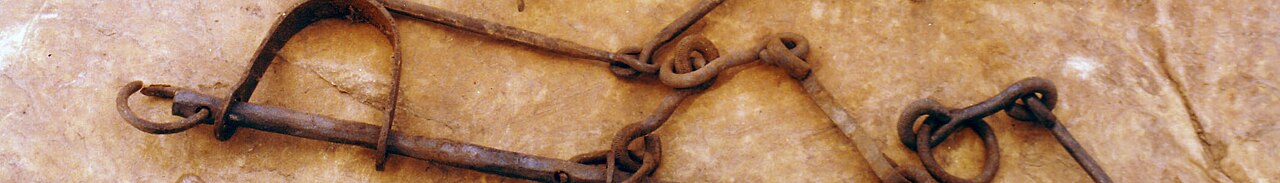 Atlantic slave trade