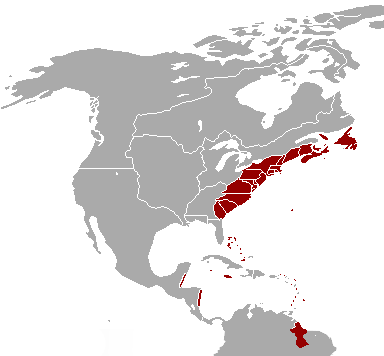British colonization of the Americas